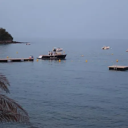 Villa Propriete De Luxe En Bord De